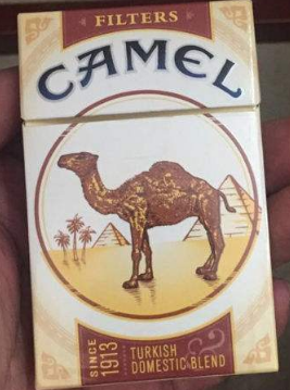 自贡新商盟网址